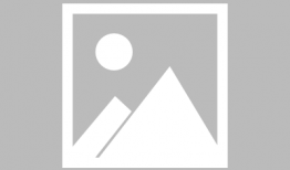 秒懂视频,轻松掌握知识，高效学习新技能